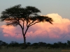 Sonnenuntergang im Elephant Sands